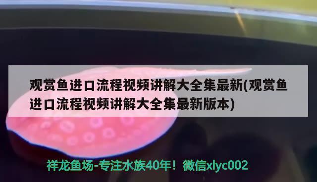 观赏鱼进口流程视频讲解大全集最新(观赏鱼进口流程视频讲解大全集最新版本)