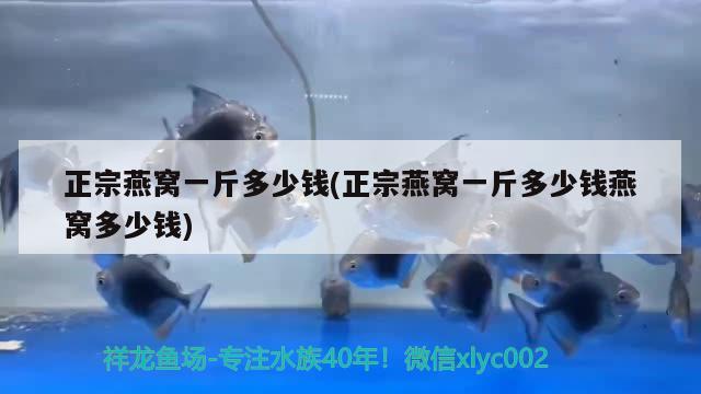 正宗燕窝一斤多少钱(正宗燕窝一斤多少钱燕窝多少钱) 马来西亚燕窝