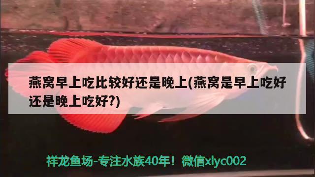 燕窝早上吃比较好还是晚上(燕窝是早上吃好还是晚上吃好?) 马来西亚燕窝