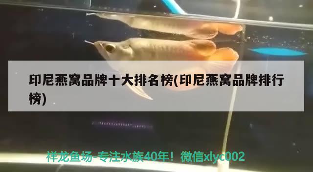 印尼燕窝品牌十大排名榜(印尼燕窝品牌排行榜) 马来西亚燕窝