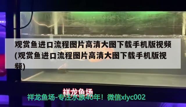 观赏鱼进口流程图片高清大图下载手机版视频(观赏鱼进口流程图片高清大图下载手机版视频) 观赏鱼进出口