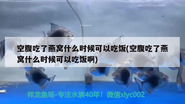 空腹吃了燕窝什么时候可以吃饭(空腹吃了燕窝什么时候可以吃饭啊) 马来西亚燕窝