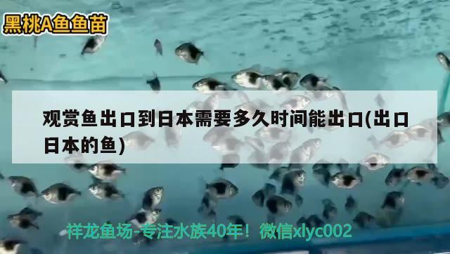 观赏鱼出口到日本需要多久时间能出口(出口日本的鱼) 观赏鱼进出口