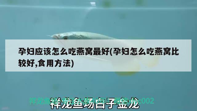 孕妇应该怎么吃燕窝最好(孕妇怎么吃燕窝比较好,食用方法) 马来西亚燕窝