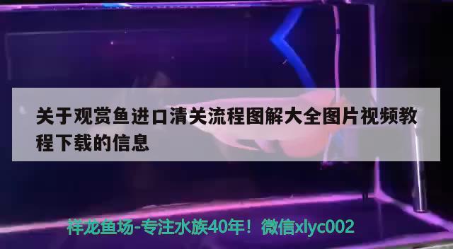 关于观赏鱼进口清关流程图解大全图片视频教程下载的信息 观赏鱼进出口