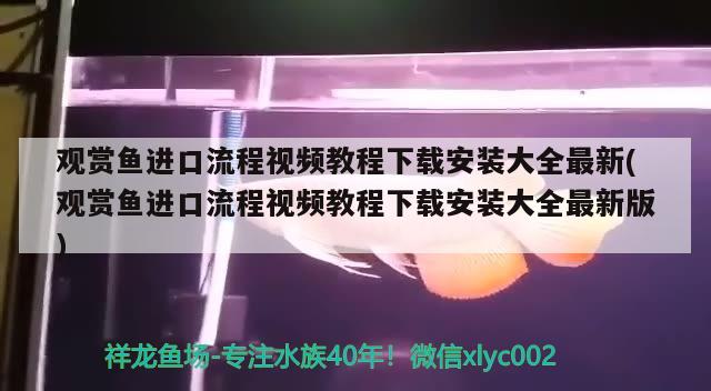 观赏鱼进口流程视频教程下载安装大全最新(观赏鱼进口流程视频教程下载安装大全最新版)