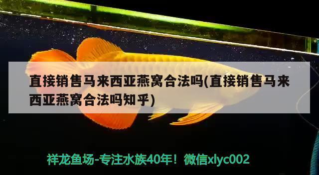 直接销售马来西亚燕窝合法吗(直接销售马来西亚燕窝合法吗知乎) 马来西亚燕窝