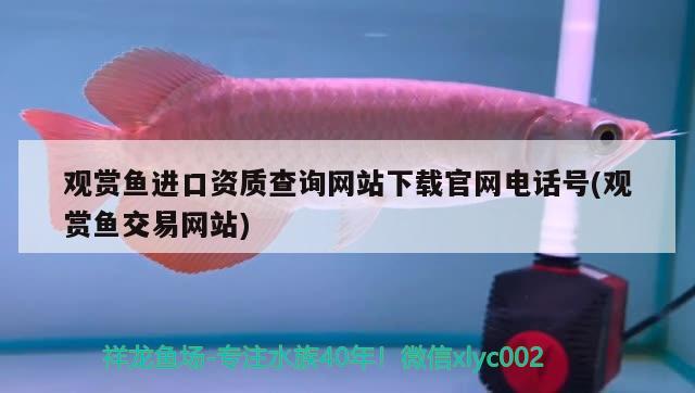 观赏鱼进口资质查询网站下载官网电话号(观赏鱼交易网站) 观赏鱼进出口