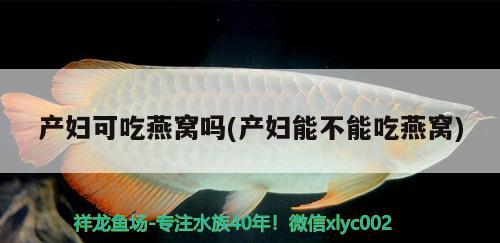 产妇可吃燕窝吗(产妇能不能吃燕窝) 马来西亚燕窝