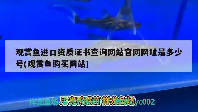 观赏鱼进口资质证书查询网站官网网址是多少号(观赏鱼购买网站) 观赏鱼进出口