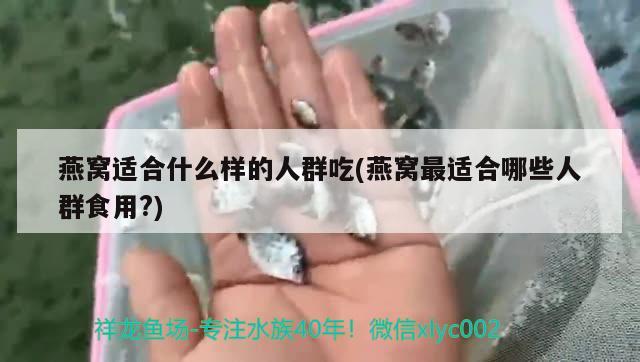 燕窝适合什么样的人群吃(燕窝最适合哪些人群食用?)