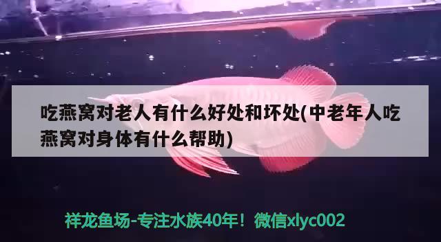 吃燕窝对老人有什么好处和坏处(中老年人吃燕窝对身体有什么帮助) 马来西亚燕窝