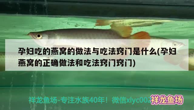 孕妇吃的燕窝的做法与吃法窍门是什么(孕妇燕窝的正确做法和吃法窍门窍门)