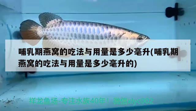 哺乳期燕窝的吃法与用量是多少毫升(哺乳期燕窝的吃法与用量是多少毫升的)