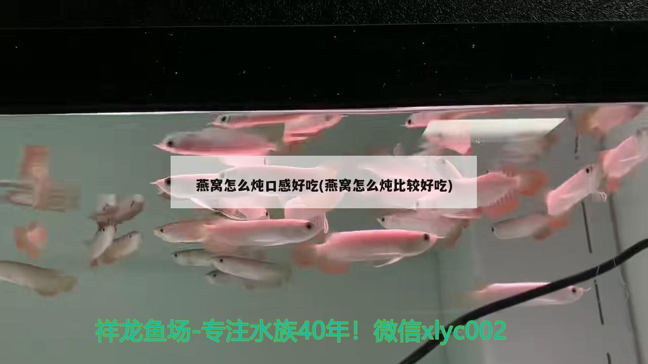 燕窝怎么炖口感好吃(燕窝怎么炖比较好吃)