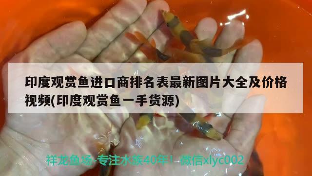 印度观赏鱼进口商排名表最新图片大全及价格视频(印度观赏鱼一手货源)