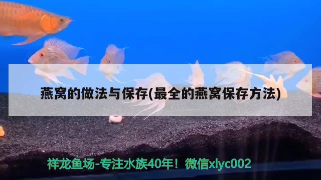 燕窝的做法与保存(最全的燕窝保存方法)