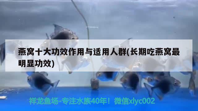 燕窝十大功效作用与适用人群(长期吃燕窝最明显功效) 马来西亚燕窝 第2张