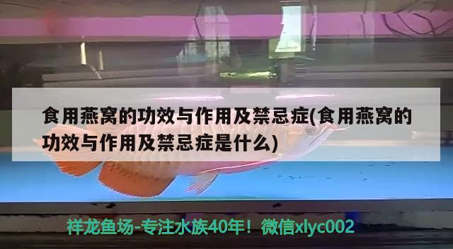 食用燕窝的功效与作用及禁忌症(食用燕窝的功效与作用及禁忌症是什么) 马来西亚燕窝