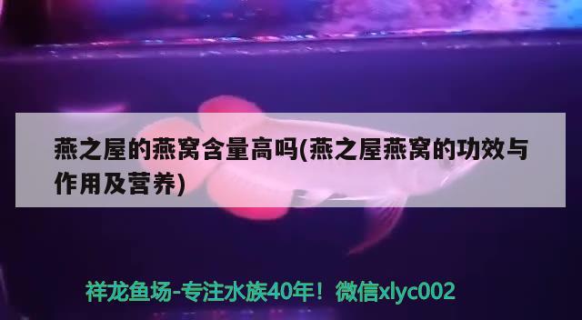 燕之屋的燕窝含量高吗(燕之屋燕窝的功效与作用及营养) 马来西亚燕窝