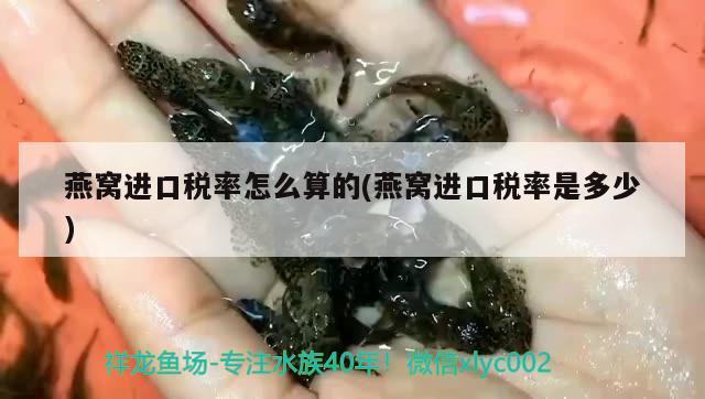 燕窝进口税率怎么算的(燕窝进口税率是多少)