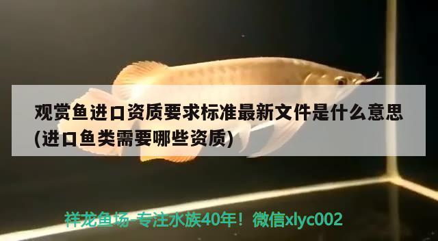 观赏鱼进口资质要求标准最新文件是什么意思(进口鱼类需要哪些资质)