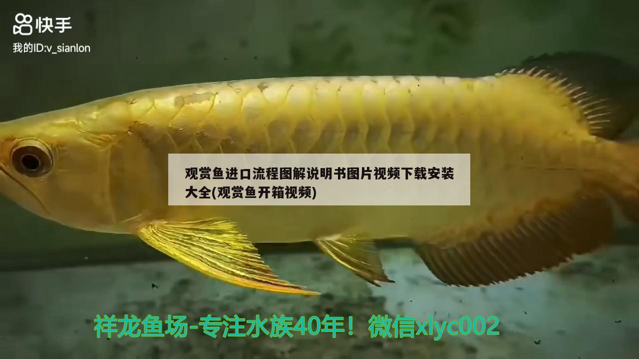 观赏鱼进口流程图解说明书图片视频下载安装大全(观赏鱼开箱视频) 观赏鱼进出口