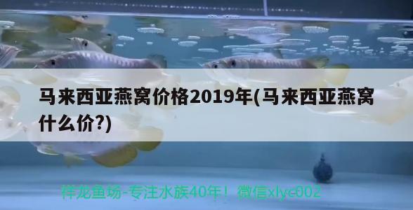 马来西亚燕窝价格2019年(马来西亚燕窝什么价?) 马来西亚燕窝