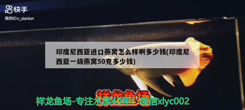 印度尼西亚进口燕窝怎么样啊多少钱(印度尼西亚一级燕窝50克多少钱) 马来西亚燕窝