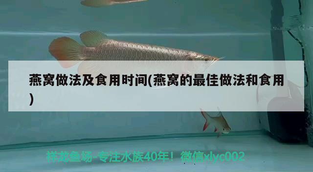 燕窝做法及食用时间(燕窝的最佳做法和食用) 马来西亚燕窝