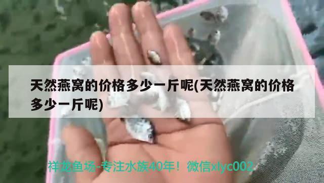 天然燕窝的价格多少一斤呢(天然燕窝的价格多少一斤呢)