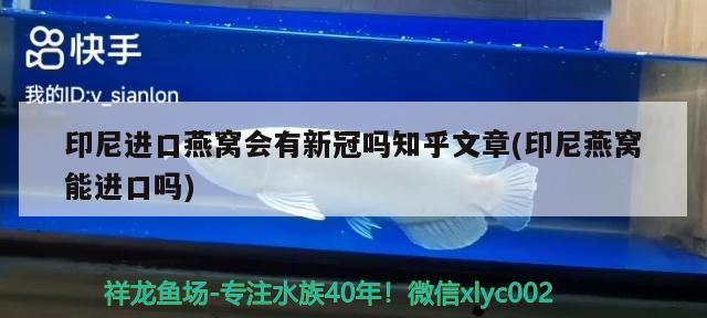 印尼进口燕窝会有新冠吗知乎文章(印尼燕窝能进口吗) 马来西亚燕窝