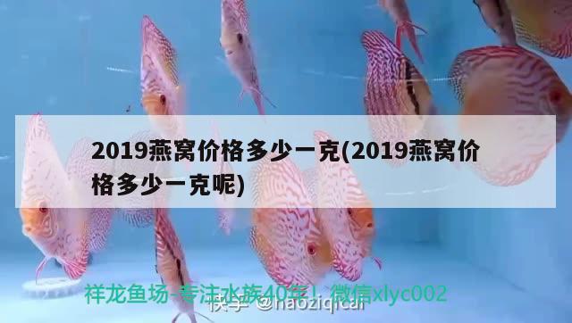 2019燕窝价格多少一克(2019燕窝价格多少一克呢) 马来西亚燕窝 第2张