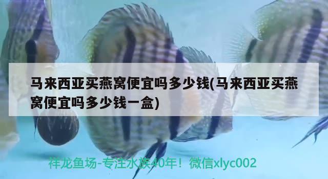 马来西亚买燕窝便宜吗多少钱(马来西亚买燕窝便宜吗多少钱一盒) 马来西亚燕窝