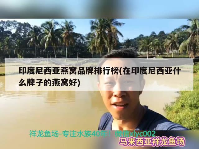 印度尼西亚燕窝品牌排行榜(在印度尼西亚什么牌子的燕窝好) 马来西亚燕窝