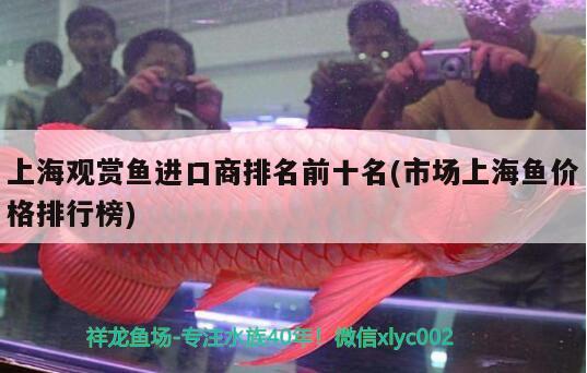 上海观赏鱼进口商排名前十名(市场上海鱼价格排行榜) 观赏鱼进出口