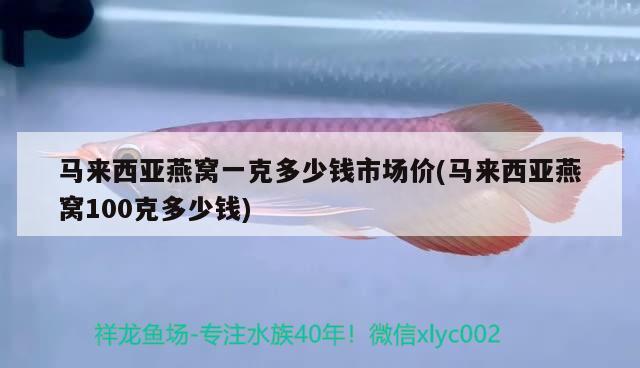 马来西亚燕窝一克多少钱市场价(马来西亚燕窝100克多少钱) 马来西亚燕窝