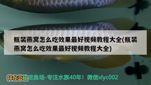 瓶装燕窝怎么吃效果最好视频教程大全(瓶装燕窝怎么吃效果最好视频教程大全) 马来西亚燕窝