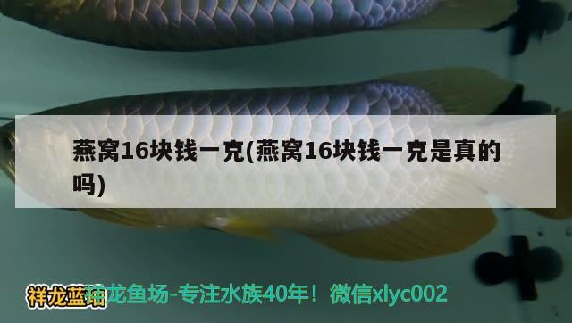 燕窝16块钱一克(燕窝16块钱一克是真的吗) 马来西亚燕窝