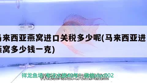 马来西亚燕窝进口关税多少呢(马来西亚进口燕窝多少钱一克) 马来西亚燕窝