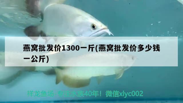 燕窝批发价1300一斤(燕窝批发价多少钱一公斤) 马来西亚燕窝