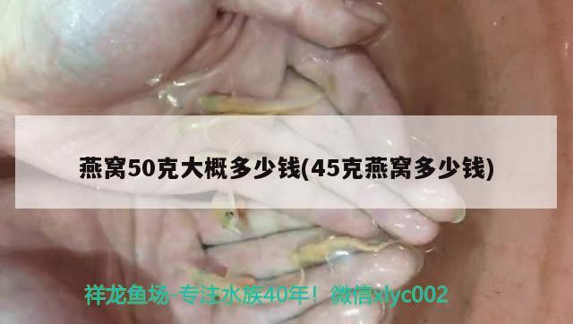 燕窝50克大概多少钱(45克燕窝多少钱)