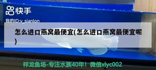 怎么进口燕窝最便宜(怎么进口燕窝最便宜呢) 马来西亚燕窝