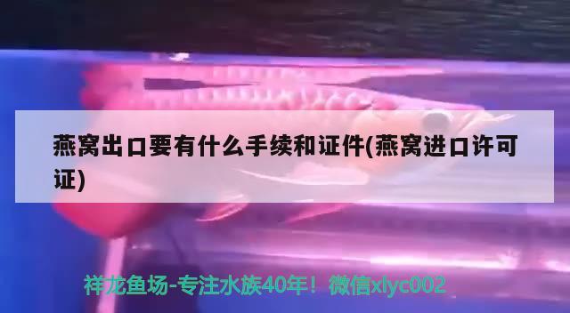 燕窝出口要有什么手续和证件(燕窝进口许可证) 马来西亚燕窝