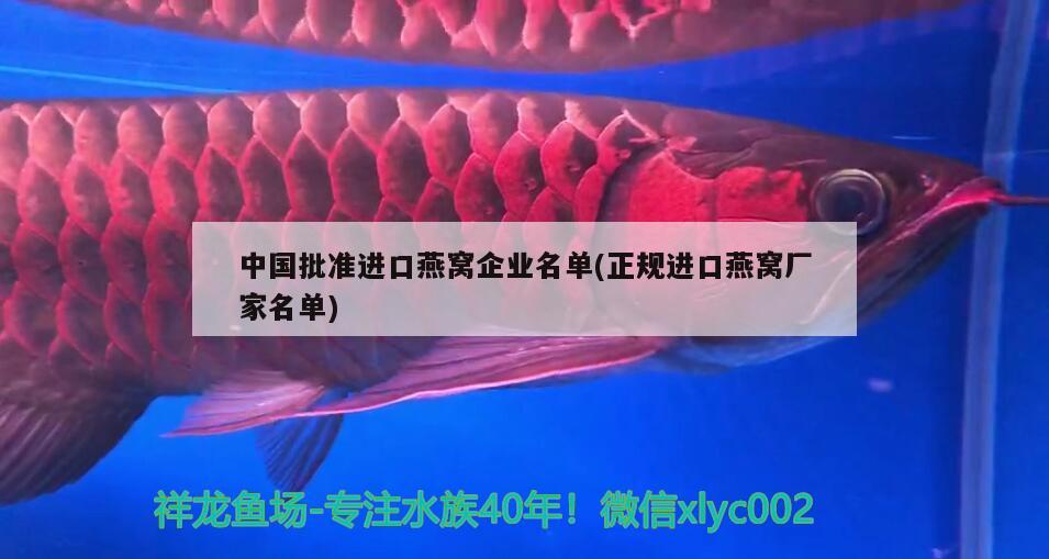 中国批准进口燕窝企业名单(正规进口燕窝厂家名单)