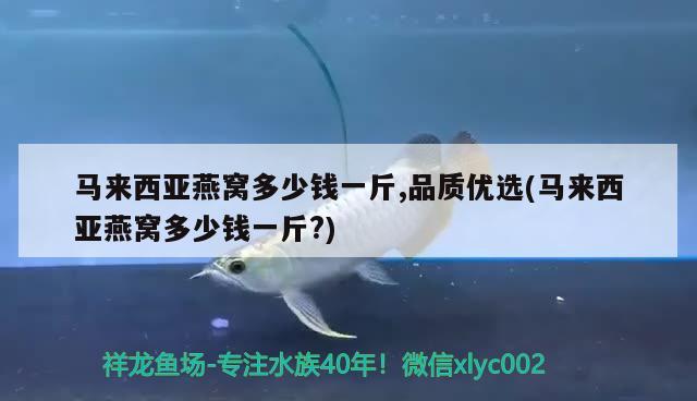 马来西亚燕窝多少钱一斤,品质优选(马来西亚燕窝多少钱一斤?) 马来西亚燕窝