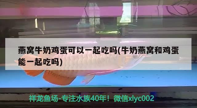 燕窝牛奶鸡蛋可以一起吃吗(牛奶燕窝和鸡蛋能一起吃吗) 马来西亚燕窝