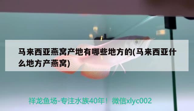 马来西亚燕窝产地有哪些地方的(马来西亚什么地方产燕窝) 马来西亚燕窝