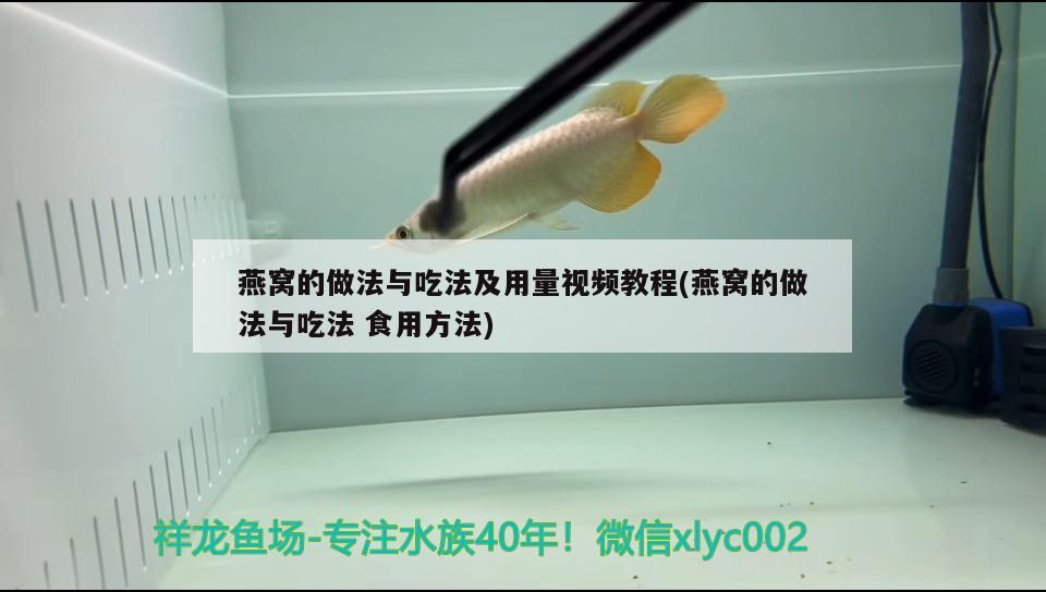 燕窝的做法与吃法及用量视频教程(燕窝的做法与吃法食用方法)