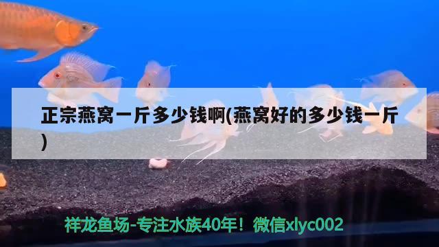 正宗燕窝一斤多少钱啊(燕窝好的多少钱一斤) 马来西亚燕窝